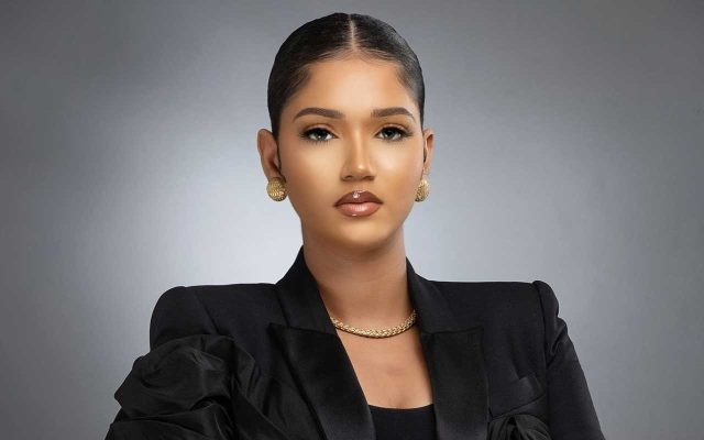 Meet the Owners of Commercial Private Jet Companies in Nigeria