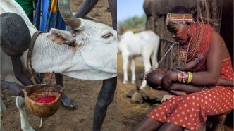 Five African Traditions That May Surprise You