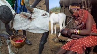 Five African Traditions That May Surprise You