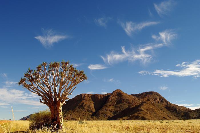 Africa's Emptiest Country