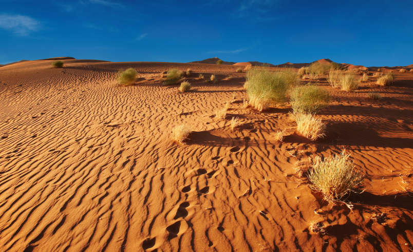 fun facts about Namibia
