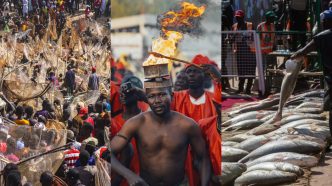 The history of the Argungu Festival
