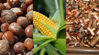 Not Everything Made in Nigeria Is Allowed to Leave — 6 Products Banned From Being Exported