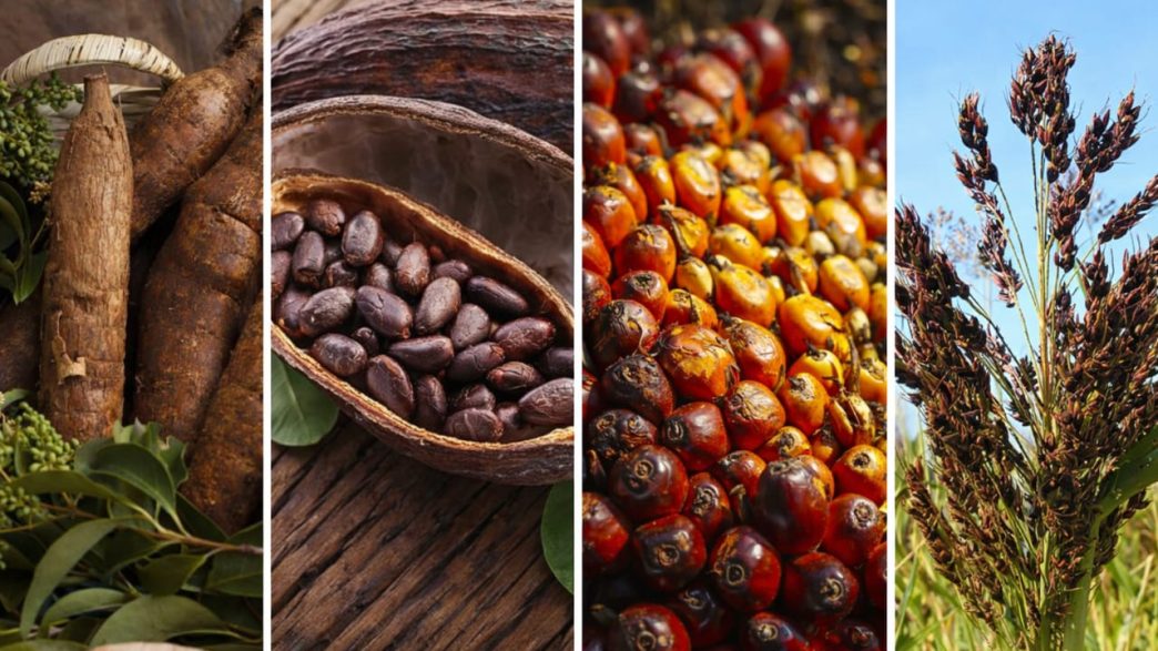 Nigeria's biggest exports