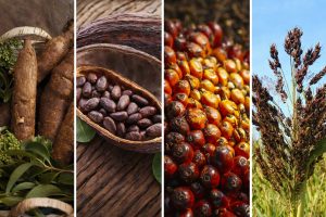 Nigeria's biggest exports