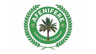 Money Might Decide Nigeria’s 2027 Presidential Polls — Afenifere