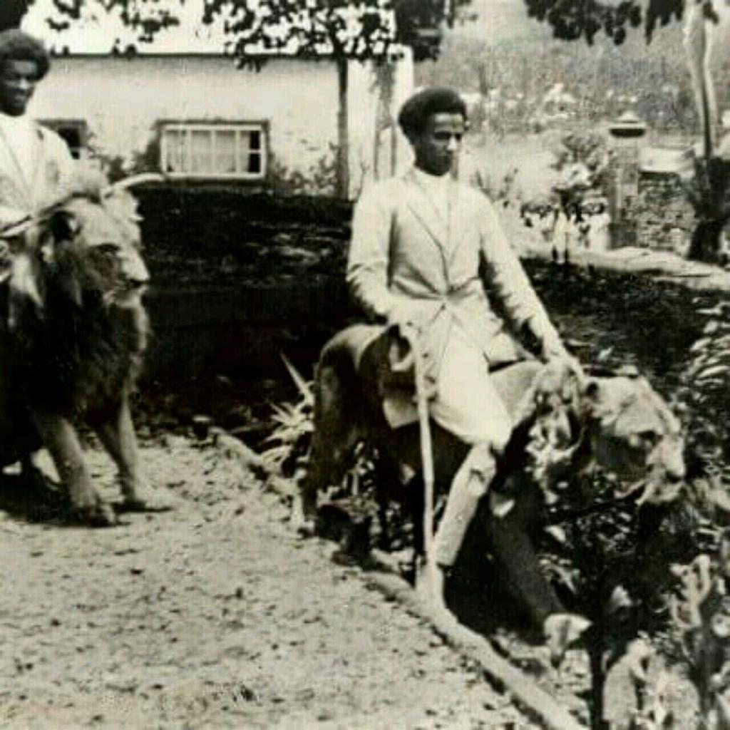 Why Ethiopian Emperors Kept Lions in Their Palaces