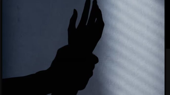 Festival Turns Controversial as Assault Claims Shake Delta In Nigeria