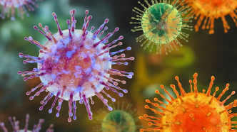 All You Need to Know About the Hantavirus