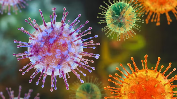 All You Need to Know About the Hantavirus