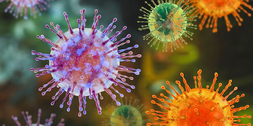 All You Need to Know About the Hantavirus