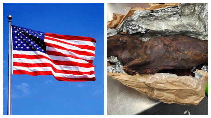 Bush Meat and 24 Items Prohibited When Travelling to the United States