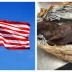 Bush Meat and 24 Items Prohibited When Travelling to the United States