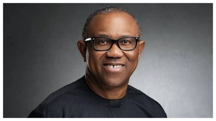 ‘You Won’t Get the Expo’ - Nigerians React as Peter Obi Declines to Explain Electricity Plan