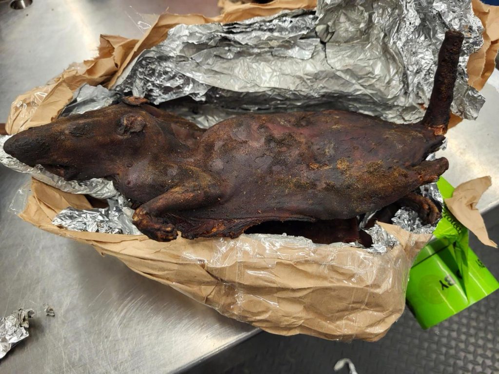 Bush Meat and 24 Items Prohibited When Travelling to the United States