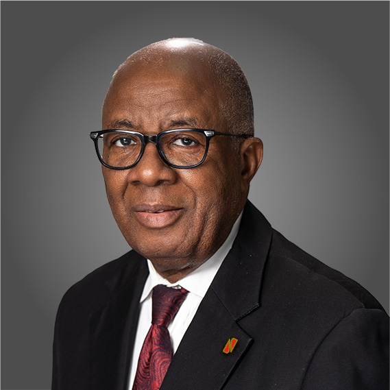 Who is UBA’S New Chairman? The Career and Achievements of Emmanuel Nnorom