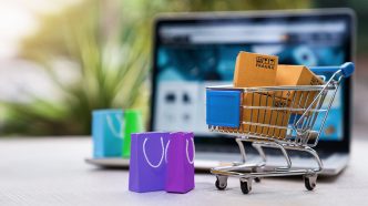 Simple Guide to Avoid Disappointment from Online Shopping