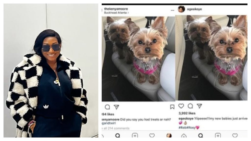 Celebrity and influencer social media controversies involving Oge Okoye