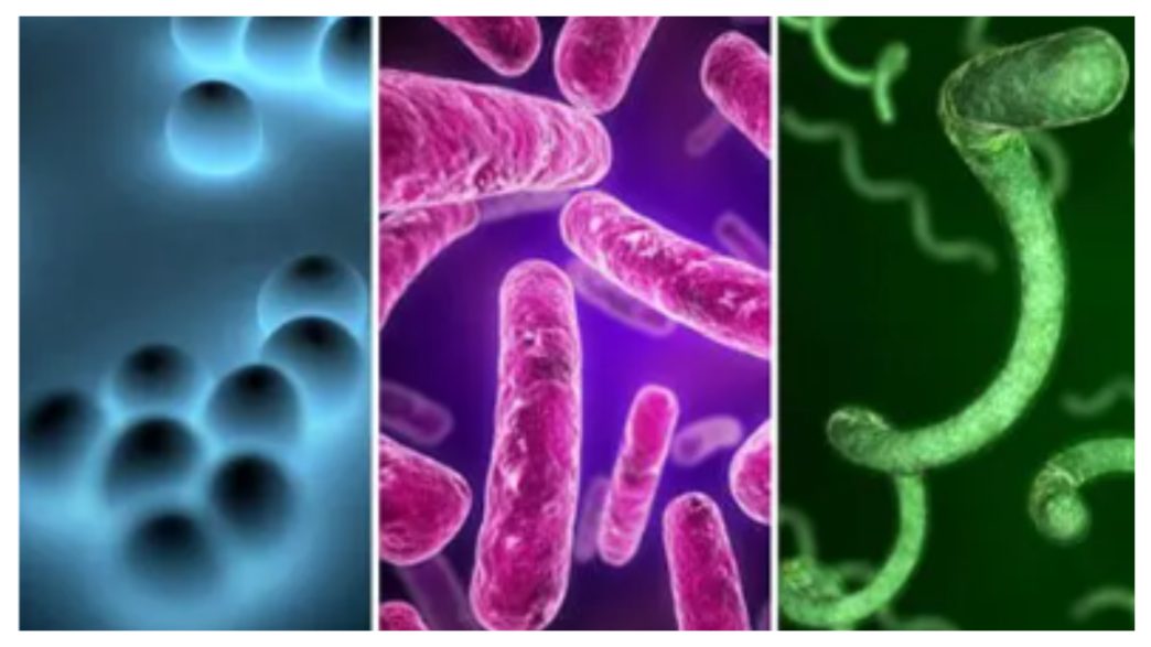 Diphtheria Is Spreading Again in Nigeria: What You Need to Know About the Disease
