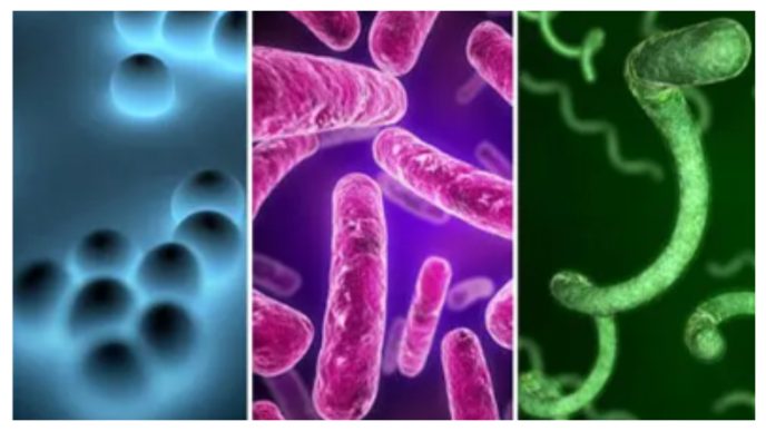 Diphtheria Is Spreading Again in Nigeria: What You Need to Know About the Disease