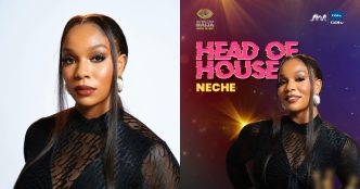 BBNaija housemates who quit the game