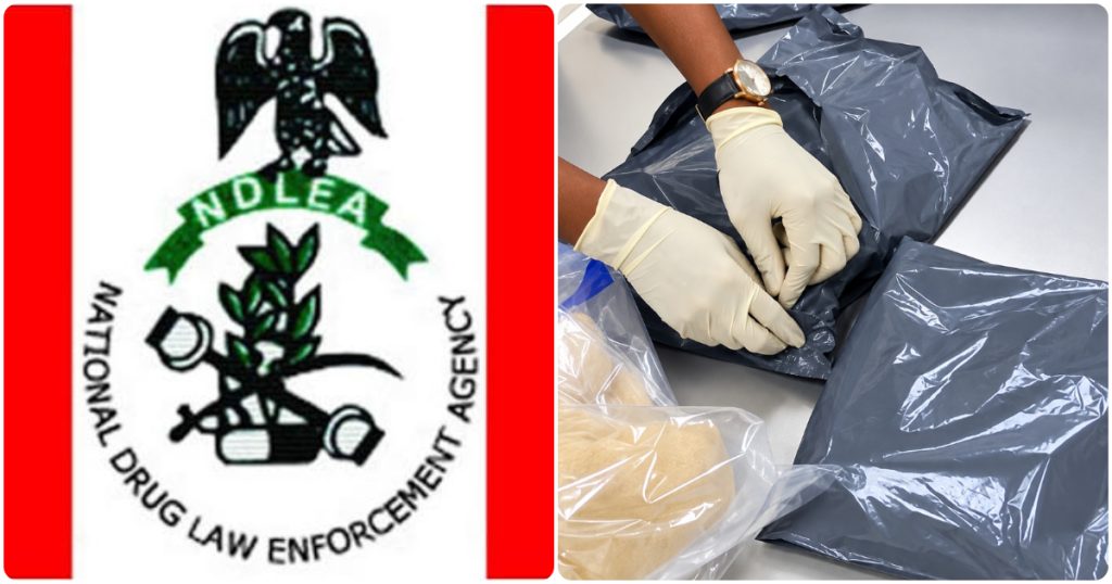 How Nigerians Abroad Put Their Unsuspecting Friends, Families in Trouble with Hard Drugs - NDLEA