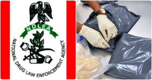 How Nigerians Abroad Put Their Unsuspecting Friends, Families in Trouble with Hard Drugs - NDLEA