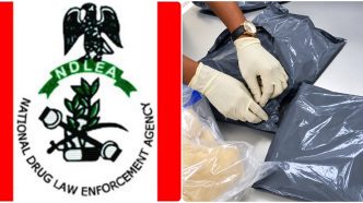 How Nigerians Abroad Put Their Unsuspecting Friends, Families in Trouble with Hard Drugs - NDLEA
