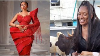 May Edochie Surprised With Two Cows, Ogene Performance for Her Birthday