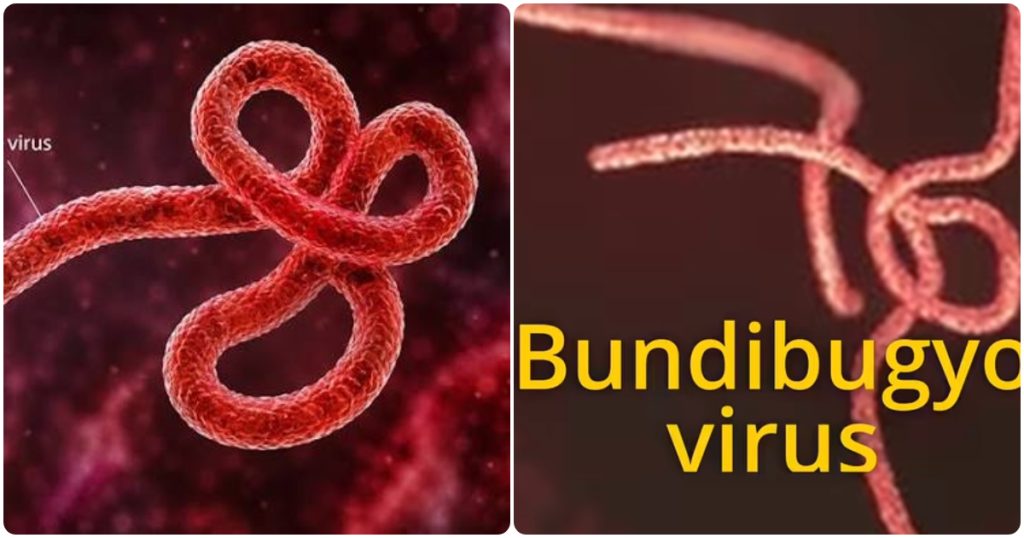 Ebola Outbreak Spreads in Congo as Nigeria Goes on High Alert