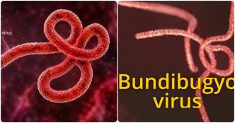 Ebola Outbreak Spreads in Congo as Nigeria Goes on High Alert