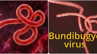 Ebola Outbreak Spreads in Congo as Nigeria Goes on High Alert