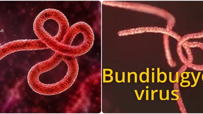 Ebola Outbreak Spreads in Congo as Nigeria Goes on High Alert