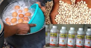Food Adulteration in Nigeria: Detergent Eggs, Pesticide Beans
