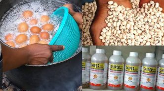 Food Adulteration in Nigeria: Detergent Eggs, Pesticide Beans