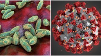 pneumonic plague