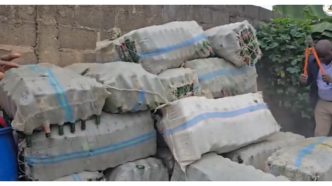 Empty alcoholic-beverage bottles stored in sacks during a NAFDAC operation in Lagos