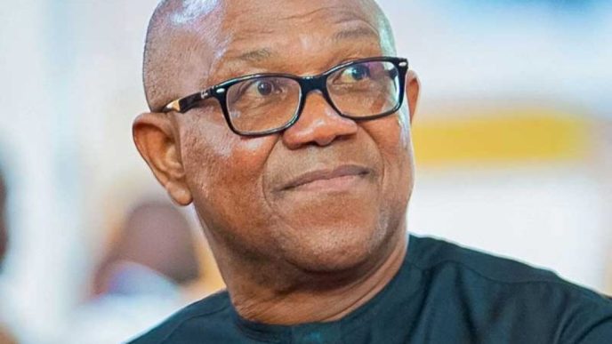 Anambra Government Urges APGA Supporters to Resist Peter Obi
