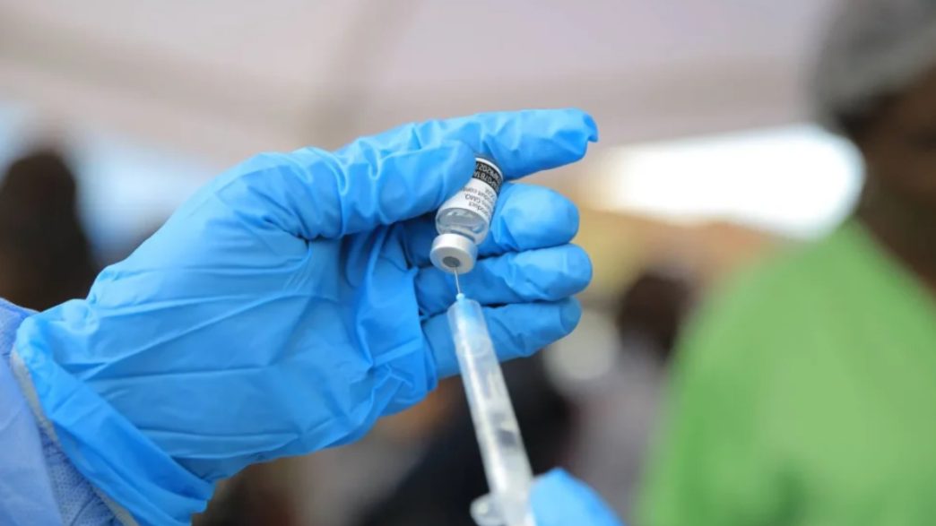 Shamonda Virus Explained