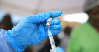 Shamonda Virus Explained